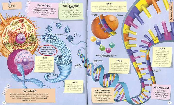 1.001 preguntes i respostes...