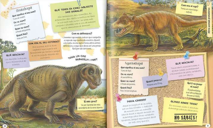 1.001 preguntes i respostes...