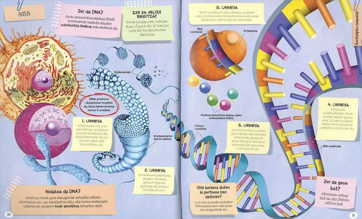 Giza gorputzari buruzko...