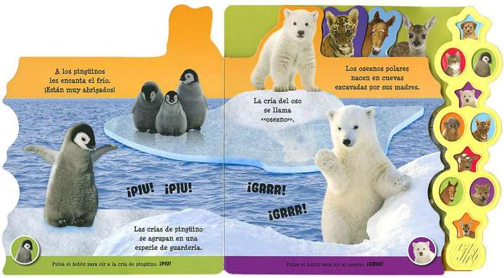 Crías de animales Crías de animales