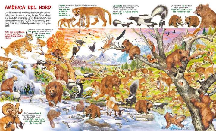 Busca els animals i les...