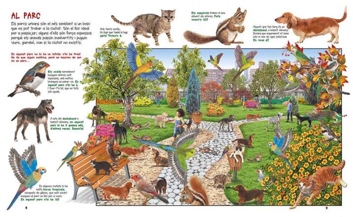 Busca els animals de la...