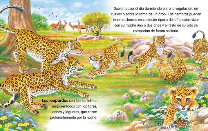 Animales del mundo nº 3