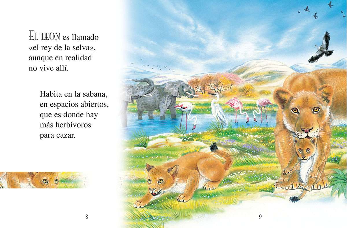 250 curiosidades de los animales | Editorial Susaeta - Venta de libros