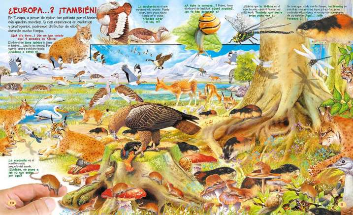 Busca los animales y sus...