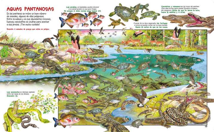 Busca los animales acuáticos