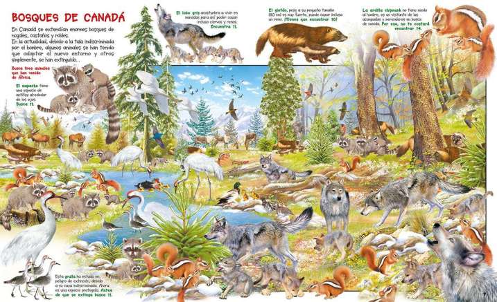 Busca los animales y sus crías