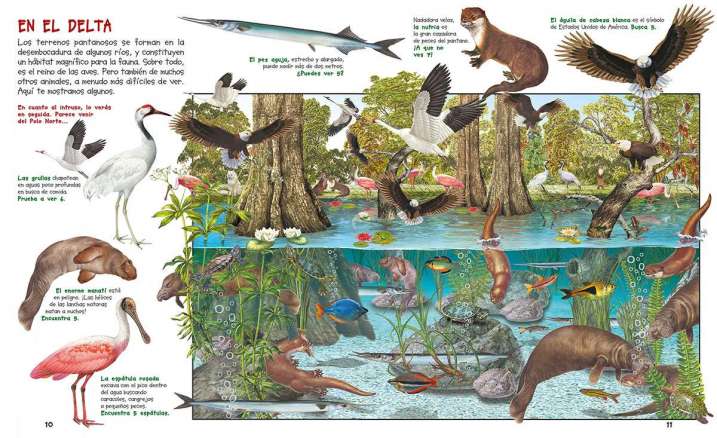 Busca los animales de la...