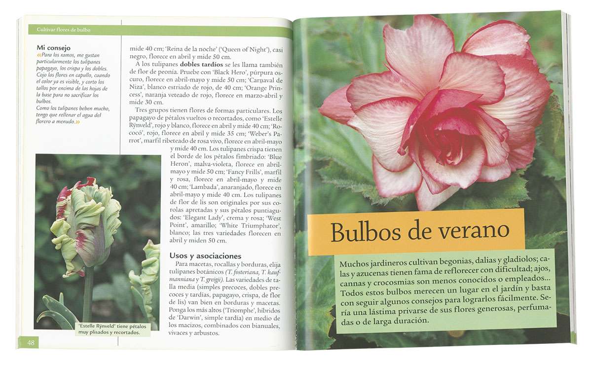 Cultivar flores de bulbo | Editorial Susaeta - Venta de libros infantiles,  venta de libros, libros de cocina, atlas ilustrados