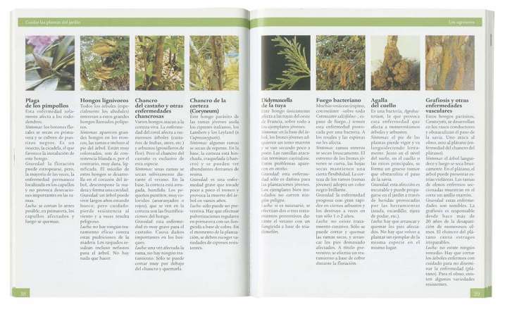 Cuidar las plantas del jardín