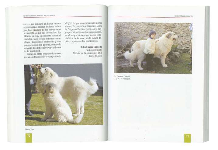 Montaña de los pirineos