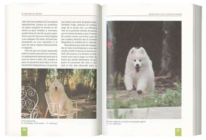 Samoyedo