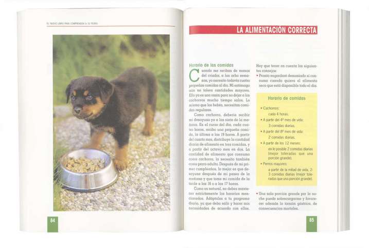 Comprender a tu perro