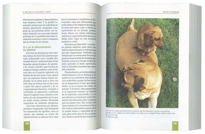 Bullmastiff y mastiff