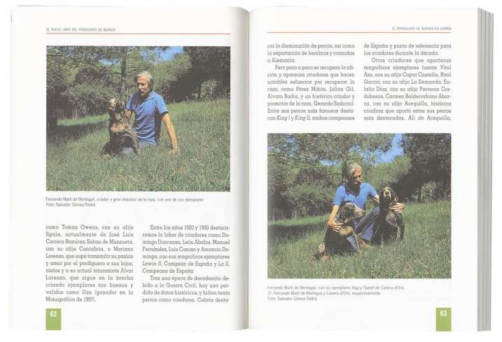 Perdiguero de Burgos