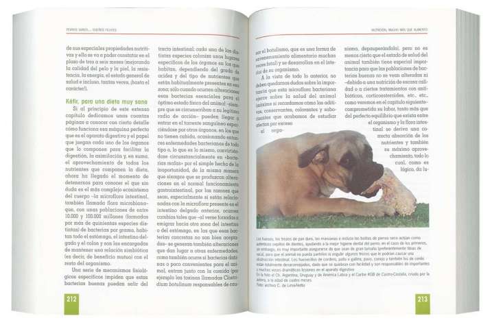 Perros sanos... Dueños felices