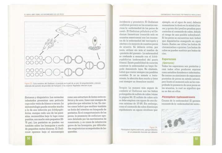 Enfermedades de los peces