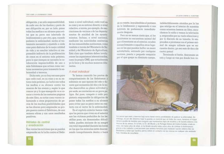 Leishmaniasis canina