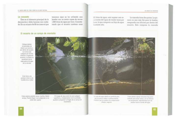 Cómo crear un acuario natural