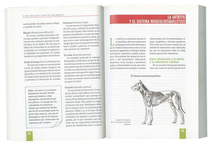 Cura a tu perro con plantas...