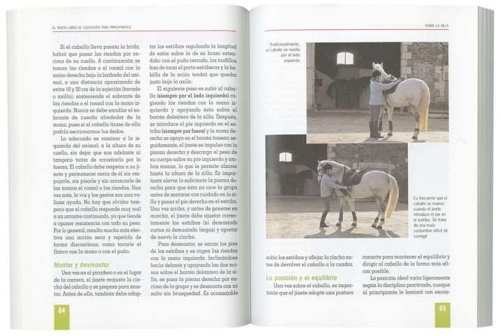 Equitación para principiantes