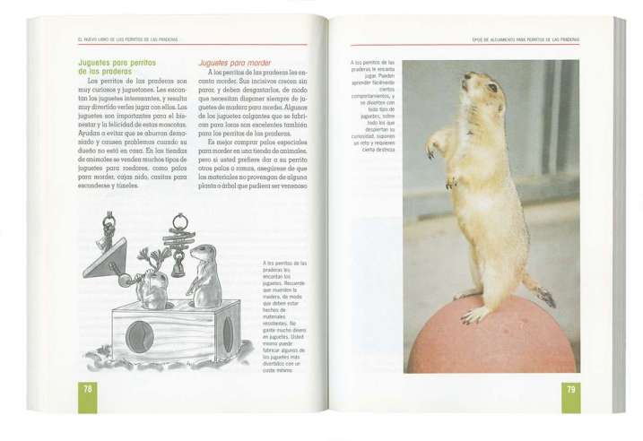 Perritos de las praderas