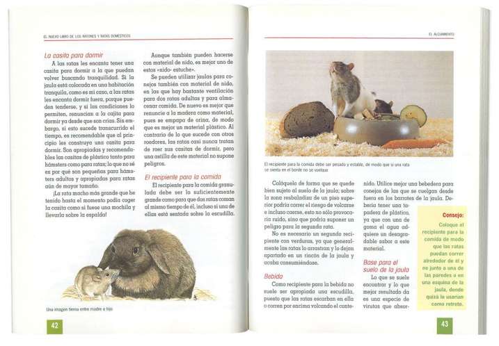 Ratones y ratas domésticos