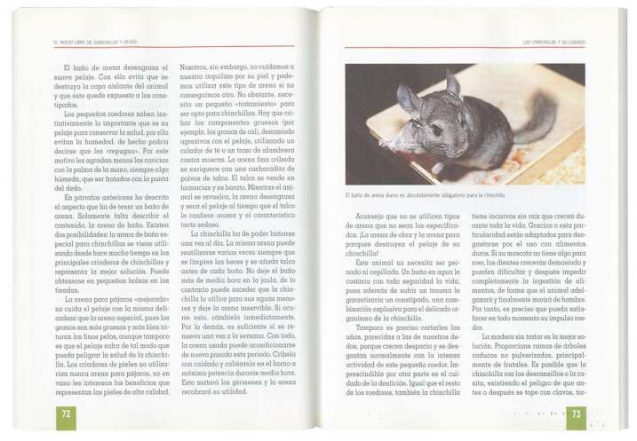 Chinchillas y degús