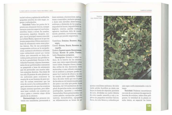 Plantas tóxicas para perros...