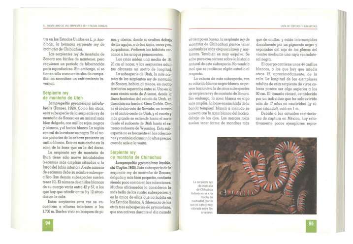 Serpientes rey y falsas...