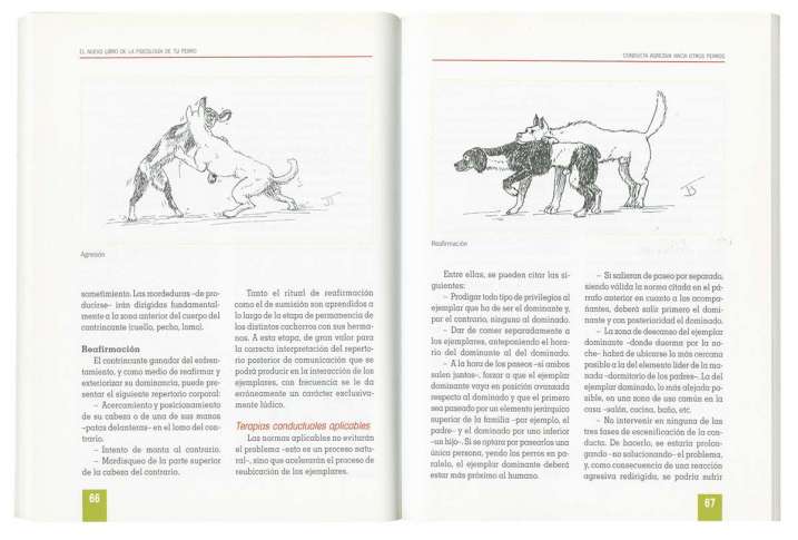 Psicología de tu perro