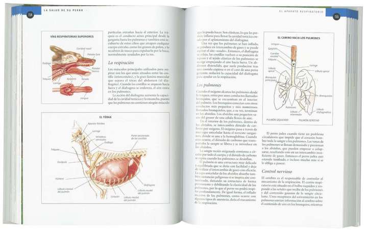 La salud de su perro. Guía...