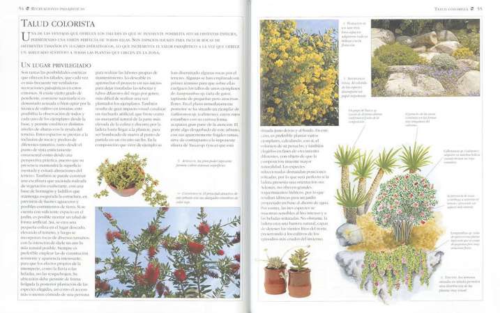 Jardinería casi sin agua....