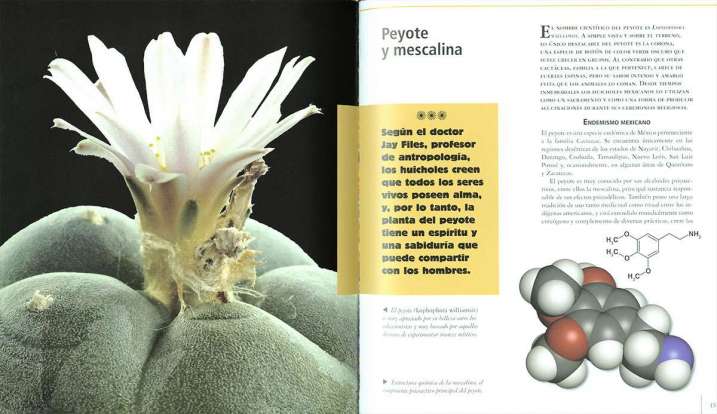 Historia de las drogas....