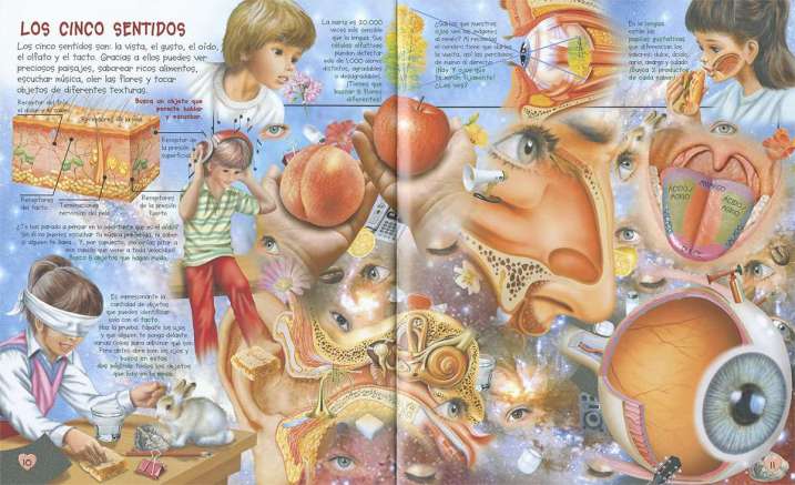 Busca en el cuerpo humano