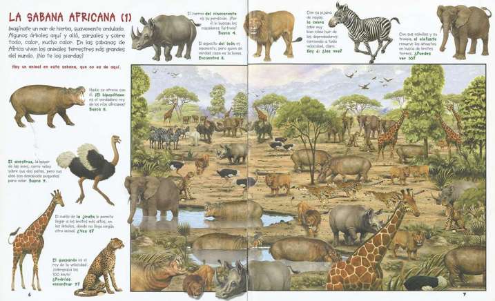 Busca los animales de la selva