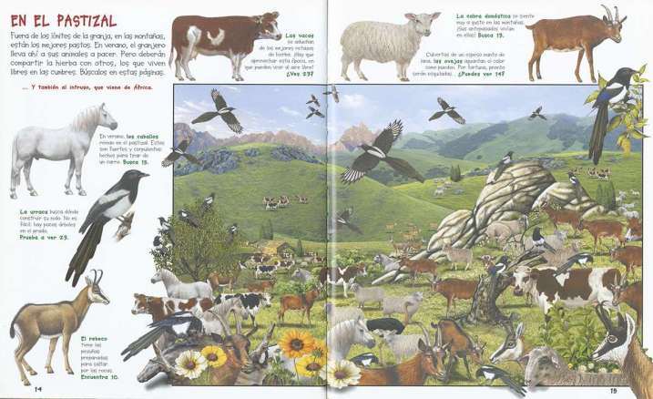 Busca los animales de la...