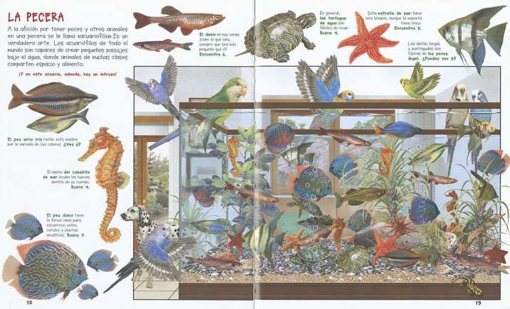 Busca los animales de tu...