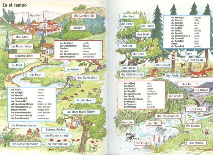 Diccionario de alemán para...