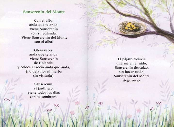 El libro de las flores y...