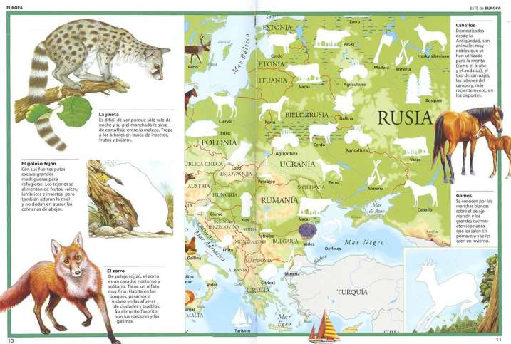 Atlas de animales del mundo...