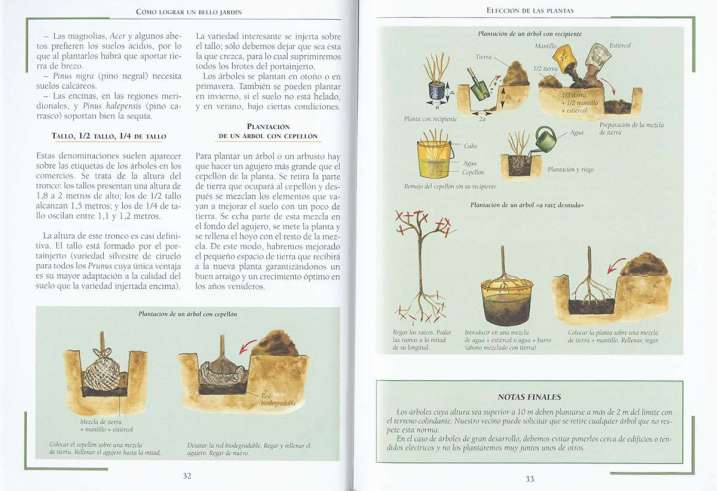 Cómo lograr un bello jardín