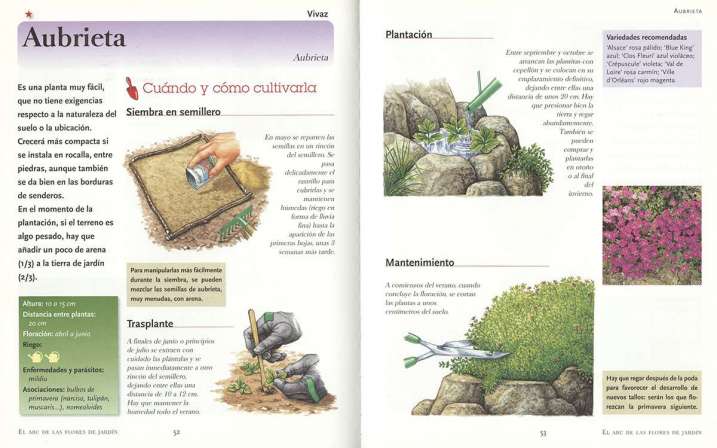 El ABC de las flores de jardín