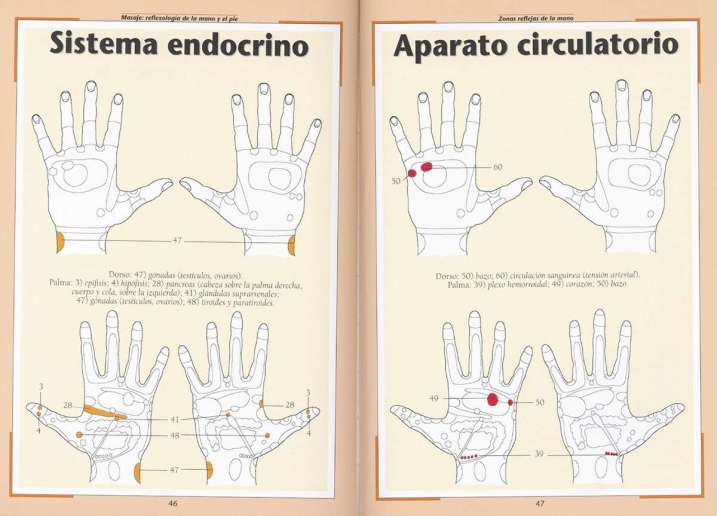 Reflexología de la mano y...