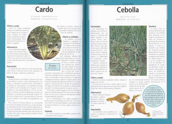 Cultivar el huerto de forma...