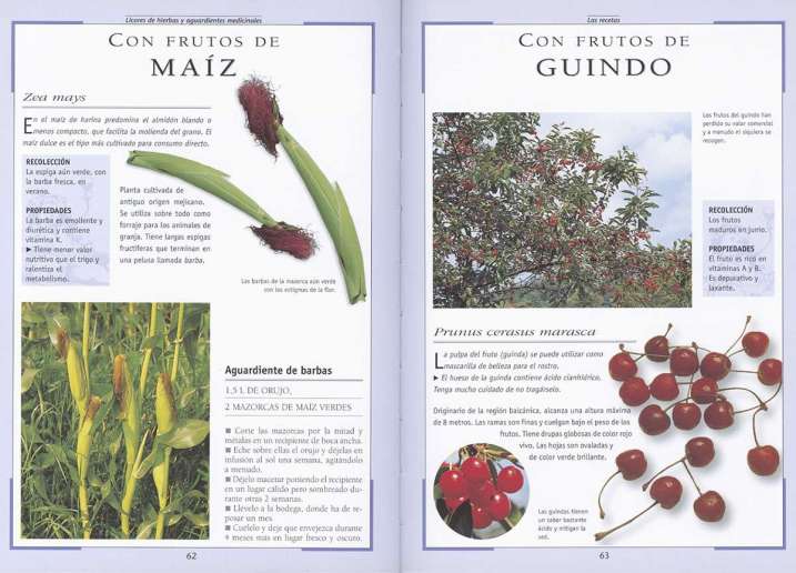 Licores de hierbas y...