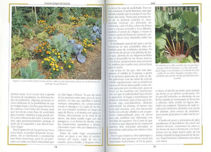 El huerto ecológico del...