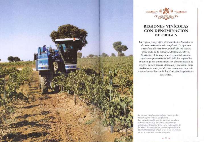 Vinos de Castilla La Mancha