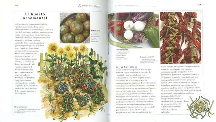 El jardín mediterráneo