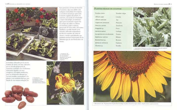 Huerto y jardín en...